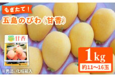 【数量限定】もぎたて！五島のびわ（甘香）化粧箱入 秀品 500g【ごとう農業協同組合】[PEM002]