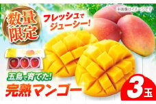 【先行予約】栄養満点 五島産完熟マンゴー (3玉入) 五島市/HPIファーム [PCP001] フルーツ くだもの
