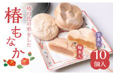 椿もなか 2種詰め合わせ 白あん 梅肉 芋 常温 五島市 / 雲泉堂 [PDA001]