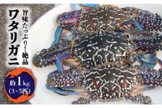 【数量限定】五島産 幻の天然ワタリガニ 1kg 五島市/バラキン市場 [PDK003]