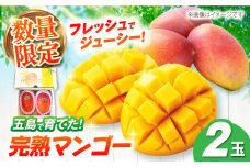 【先行予約】栄養満点 五島産完熟マンゴー (2玉入) 五島市/HPIファーム [PCP002] フルーツ くだもの