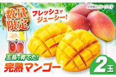 【先行予約】栄養満点 五島産完熟マンゴー (2玉入) 五島市/HPIファーム [PCP002] フルーツ くだもの