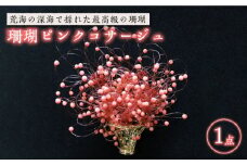 珊瑚ピンクコサージュ 五島市 / 出口さんご [PBK002] サンゴ アクセサリー おしゃれ プレゼント 贈り物