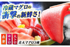 【冷蔵でお届け】長崎県五島産 近大マグロ 約500g (大トロ/中トロ/赤身) 五島市/五島ヤマフ [PAK010] マグロ まぐろ 鮪 刺身 さしみ セット 海鮮 魚介 養殖マグロ 養殖 冷蔵 赤身 大トロ 中トロ お取り寄せ 高級 詰め合わせ
