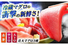 【冷蔵でお届け】長崎県五島産 近大マグロ 約500g (大トロ/中トロ/赤身) 五島市/五島ヤマフ [PAK010] マグロ まぐろ 鮪 刺身 さしみ セット 海鮮 魚介 養殖マグロ 養殖 冷蔵 赤身 大トロ 中トロ お取り寄せ 高級 詰め合わせ