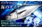 マグロ まぐろ 生食 刺身 さしみ セット 海鮮 魚介 養殖マグロ 養殖まぐろ 養殖 冷蔵 赤身 大トロ 中トロ 高級