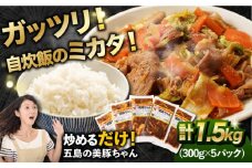 7日程度発送）五島美豚 美豚ちゃん300g×5個セット【長崎フードサービス】 [PEL001] 簡単 調理 豚肉 豚 レトルト パック 小分け 国産 焼肉 加工 肉 スピード 最短 最速 発送