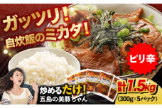 7日程度発送）五島美豚 美豚ちゃんピリ辛300g×5個セット【長崎フードサービス】 [PEL002] 簡単 調理 豚肉 豚 レトルト パック 小分け 国産 焼肉 加工 肉 スピード 最短 最速 発送