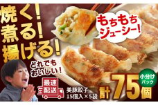 【リピーター続出】【最速配送】美豚餃子15個入×5袋 五島市/長崎フードサービス [PEL003] 冷凍 餃子 飲茶 中華 ぎょうざ ギョウザ