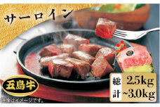 【日時指定必須】五島 牛 特上 サーロイン 約2.5kg～約3kg 国産牛 牛肉 ブランド牛 ソース付 五島市 / 鬼岳牧場 [PEK006]