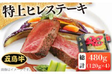 【日時指定必須】五島 牛 特上 ヒレ ステーキ 約120g×4 国産牛 牛肉 ブランド牛 ソース付 五島市 / 鬼岳牧場 [PEK009]