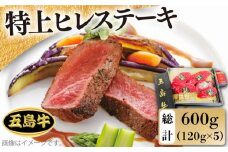 【日時指定必須】五島 牛 特上 ヒレ ステーキ 約120g×5 国産牛 牛肉 ブランド牛 ソース付 五島市 / 鬼岳牧場 [PEK010]