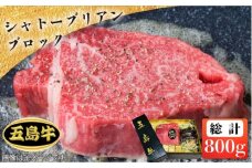 【日時指定必須】五島 牛 シャトーブリアン ブロック 約800g 国産牛 牛肉 ブランド牛 セット ソース付 五島市/鬼岳牧場 [PEK018]