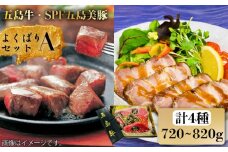 【日時指定必須】サーロイン 炙り焼き ヒレ 焼豚 よくばりセットAタイプ【 五島牛 ・ 長崎県産 SPF 五島美豚 】国産牛 牛肉 国産豚 豚肉 ブランド肉 セット ソース付 五島市/鬼岳牧場 [PEK027]