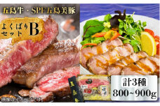 【日時指定必須】サーロイン 炙り焼き 焼豚 よくばりセットBタイプ【 五島 牛 ・ 長崎県産 SPF 五島 美豚 】国産牛 牛肉 国産豚 豚肉 ブランド肉 セット ソース付 五島市/鬼岳牧場 [PEK028]