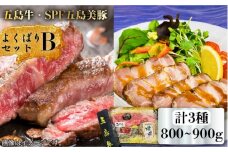 【日時指定必須】サーロイン 炙り焼き 焼豚 よくばりセットBタイプ【 五島 牛 ・ 長崎県産 SPF 五島 美豚 】国産牛 牛肉 国産豚 豚肉 ブランド肉 セット ソース付 五島市/鬼岳牧場 [PEK028]