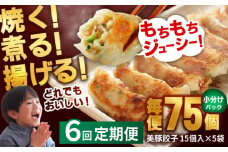 【全6回定期便】 美豚餃子 15個入×5袋セット おつまみ おかず 簡単【長崎フードサービス】 [PEL009] 冷凍 餃子 飲茶 中華 ぎょうざ ギョウザ