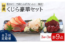【全3回定期便】 特選 くじら 豪華 3点セット 五島市/丸宗水産 [PAJ004] 