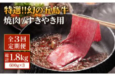 【全3回定期便】幻の五島牛（特選）焼肉・すき焼用600g 五島市/ニク勝 [PBF010] やきにく 焼肉 すきやき 牛肉 牛 にく 肩ロース 国産 冷凍