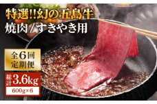 【全6回定期便】幻の五島牛（特選）焼肉・すき焼用600g 五島市/ニク勝 [PBF017] やきにく 焼肉 すきやき 牛肉 牛 にく 肩ロース 国産 冷凍