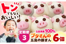 【全3回定期便】ぐりびとん6個 豚まん 五島市/お弁当のぐり家 [PEI002]