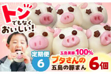 【全6回定期便】ぐりびとん6個 豚まん 五島市/お弁当のぐり家 [PEI003]
