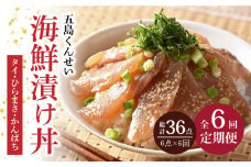 【全6回定期便】 五島 海鮮 漬け丼 3種 6点 セット【 五島くんせい工房】 [PDD015] おつまみ 酒の肴 詰め合わせ セット 小分け パック お取り寄せ グルメ お茶漬け タイ ヒラマサ カンパチ