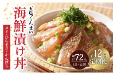 【全12回定期便】 五島 海鮮 漬け丼 3種 6点 セット 【五島くんせい工房】 [PDD020] おつまみ 酒の肴 詰め合わせ セット 小分け パック お取り寄せ