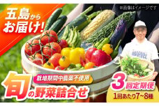 【全3回定期便】有機農法・旬の野菜詰め合わせ 五島市/ぷらっと農園 [PDS007]