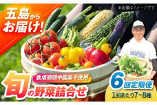 【全6回定期便】有機農法・旬の野菜詰め合わせ 五島市/ぷらっと農園 [PDS008]