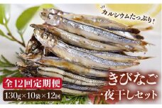 【全12回定期便】五島列島 きびなご一夜干し 130g×10袋 五島市/奈留町漁業協同組合 [PAT010] きびなご 干物 干物セット 人気 魚 ひもの 冷凍 ギフト 大容量 定期便