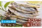 きびなご キビナゴ 魚 干物 一夜干し おつまみ ご飯のお供 ギフト 贈答 海鮮