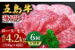 冷凍 牛肉 ブランド牛 和牛 長崎和牛 ロース モモ すき焼き しゃぶしゃぶ