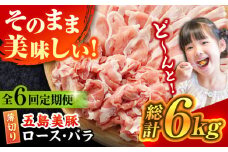 【全6回定期便】五島美豚 薄切り セット (ロース・バラ) 6kg (1kg×6回) 五島市/ごとう農業協同組合 [PAF012] 冷凍 国産豚 豚肉 ブランド豚 