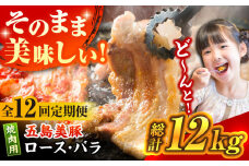 【全12回定期便】五島美豚 焼肉 セット (ロース・バラ) 12kg (1kg×12回) 冷凍 国産豚 豚肉 ブランド豚 焼き肉 五島市/ごとう農業協同組合 [PAF015]