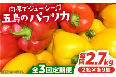 【全3回定期便】 五島のパプリカ 計18個【HPIファーム】 [PCP004] 野菜 やさい 国産 新鮮 緑黄色野菜 産地直送 とれたて
