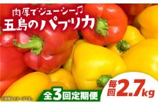 【全3回定期便】 五島のパプリカ 約2.7kg 五島市/HPIファーム [PCP004] 野菜 やさい 国産 新鮮 緑黄色野菜 産地直送 とれたて