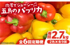 【全6回定期便】 五島のパプリカ 計18個【HPIファーム】 [PCP005] 野菜 やさい 国産 新鮮 緑黄色野菜 産地直送 とれたて