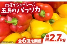 【全6回定期便】 五島のパプリカ 約2.7kg 五島市/HPIファーム  [PCP005] 野菜 やさい 国産 新鮮 緑黄色野菜 産地直送 とれたて