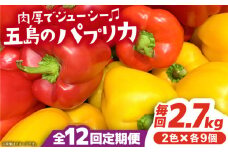 【全12回定期便】 五島のパプリカ 計18個【HPIファーム】 [PCP006] 野菜 やさい 国産 新鮮 緑黄色野菜 産地直送 とれたて