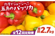【全12回定期便】 五島のパプリカ 約2.7kg 五島市/HPIファーム [PCP006] 野菜 やさい 国産 新鮮 緑黄色野菜 産地直送 とれたて