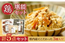 懐かしい味がする県内産鶏製品【浜口水産】 [PAI028]鶏 肉 詰め合わせ セット 天ぷら 炊き込みご飯の素 2合 燻製 惣菜 ギフト