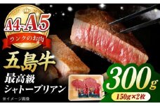 【毎月数量限定】五島牛 シャトーブリアン 300g 150g × 2枚 / A4 A5 牛肉 ヒレ フィレ ヘレ 五島市 / 肉のマルヒサ [PCV038]