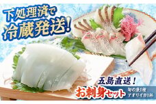 金澤仕立て 鮮魚ボックス（旬の魚1種・アオリイカ） 冷蔵 真空パック 新鮮 下処理済み 海鮮 刺身 セット 水いか 五島市/金沢鮮魚 [PEP001]