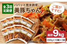 【全3回定期便】 美豚ちゃん 300g×10個 セット  五島市/長崎フードサービス [PEL014] 簡単 調理 豚肉 豚 レトルト パック 小分け 国産 焼肉 加工 肉 レトルト 簡単 おかず