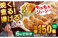 【全6回定期便】 美豚餃子 15個入×10袋 セット 【長崎フードサービス】 [PEL023] 冷凍 餃子 中華 ぎょうざ ギョウザ
