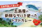 カレーレトルト 詰め合わせ 魚 さかな トマト サバ 保存食 常温保存 惣菜