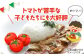 カレーレトルト 詰め合わせ 魚 さかな トマト サバ 保存食 常温保存 惣菜