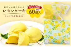 【全6回定期便】レモンケーキ 10個入【観光ビルはたなか】 [PAX023] 焼き菓子 洋菓子 スイーツ ギフト 贈答