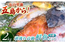【五島列島・直送】朝獲れ！高級鮮魚セット2kg 五島市 / 鯛福丸水産 [PDP002] 鮮魚 セット 冷蔵 刺身 魚 海鮮 直送 さかな 詰合せ 新鮮 料理